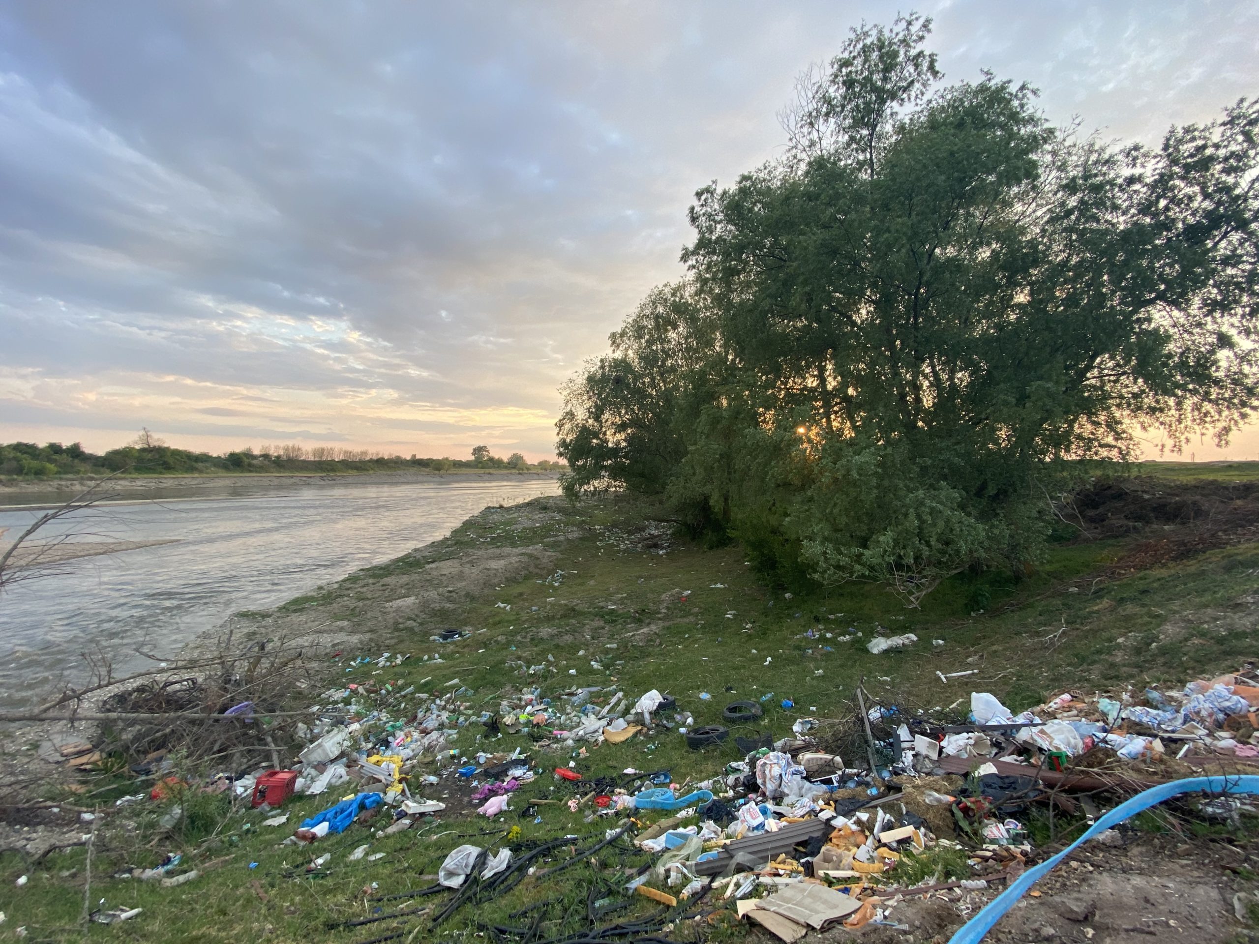 Tone de gunoaie pe malul Mureșului, la Păuliș