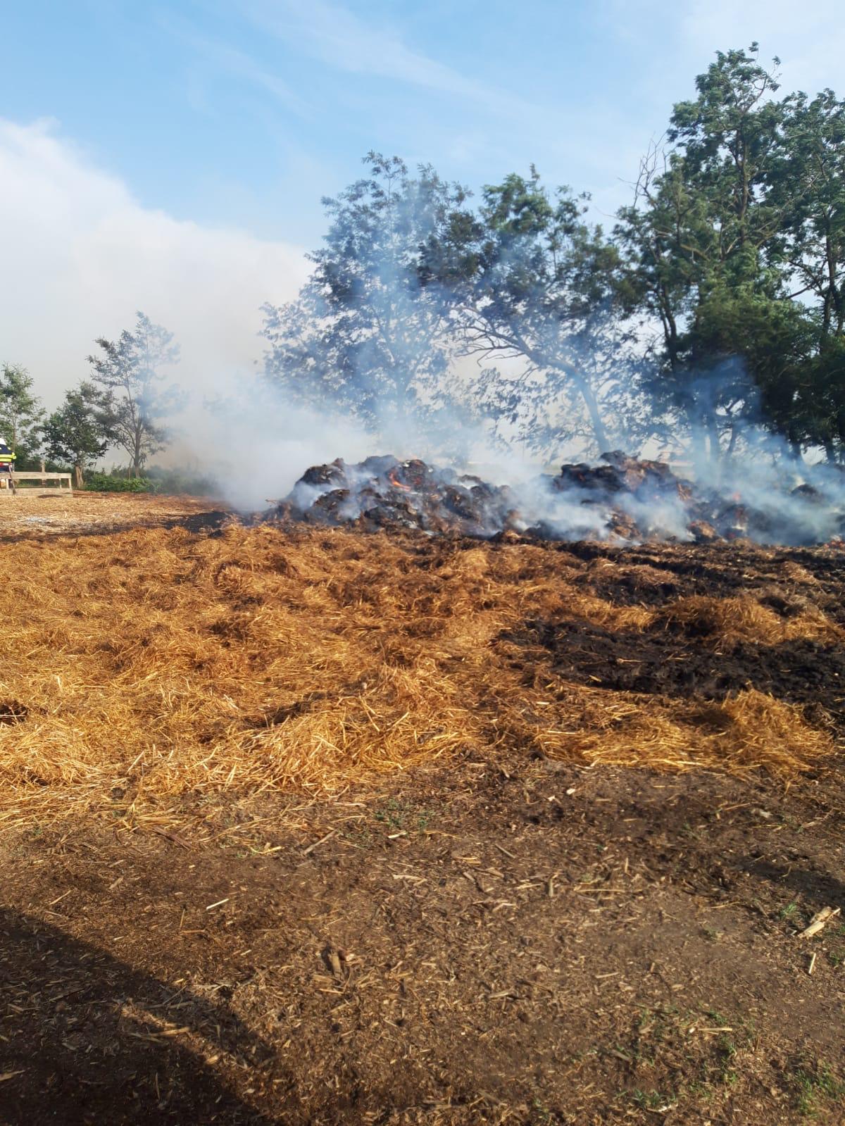FOTO | Peste 26 de hectare de vegetație uscată și culturi agricole au ars în doar câteva ore în județul Arad
