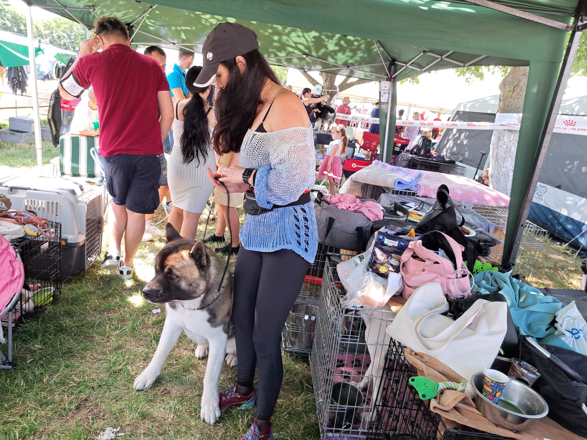 FOTO | 2.800 de exemplare canine din 29 de țări, în concurs la Arad