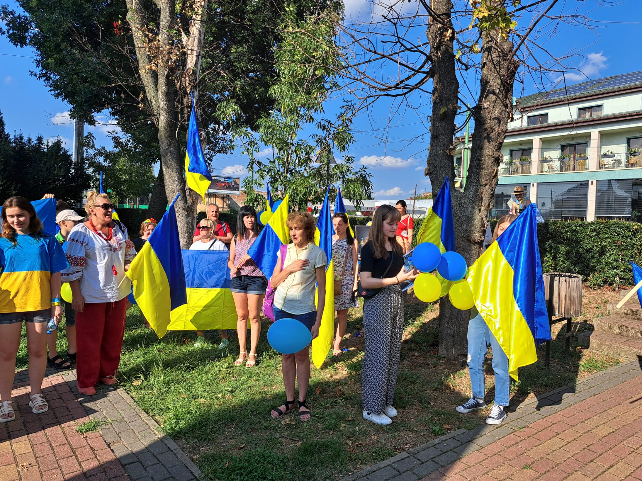 FOTO | Ucrainenii din Arad sărbătoresc Ziua Naţională