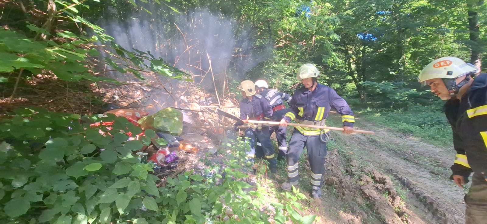 FOTO | Exercițiu de amploare la Lipova: au lichiat un incendiu de pădure