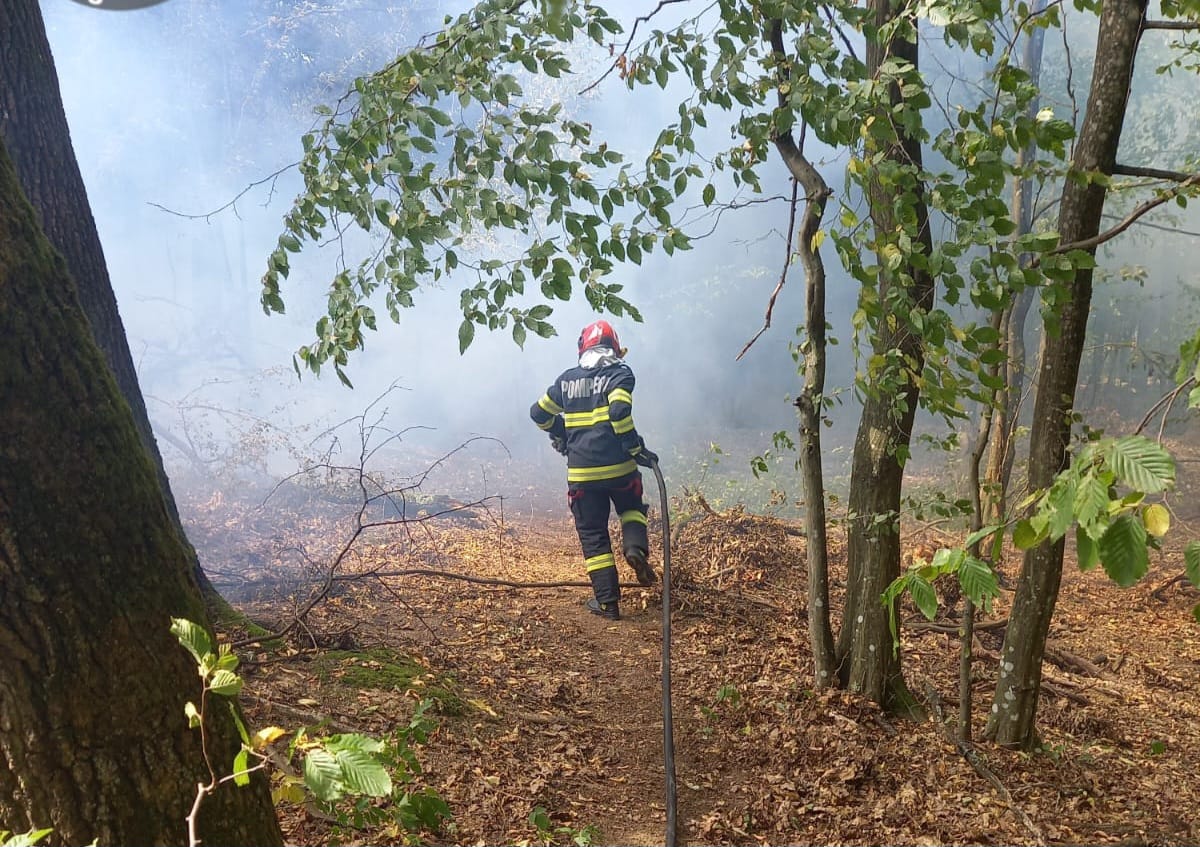 FOTO | Pericol de incendiu în pădurea din Hălmagiu