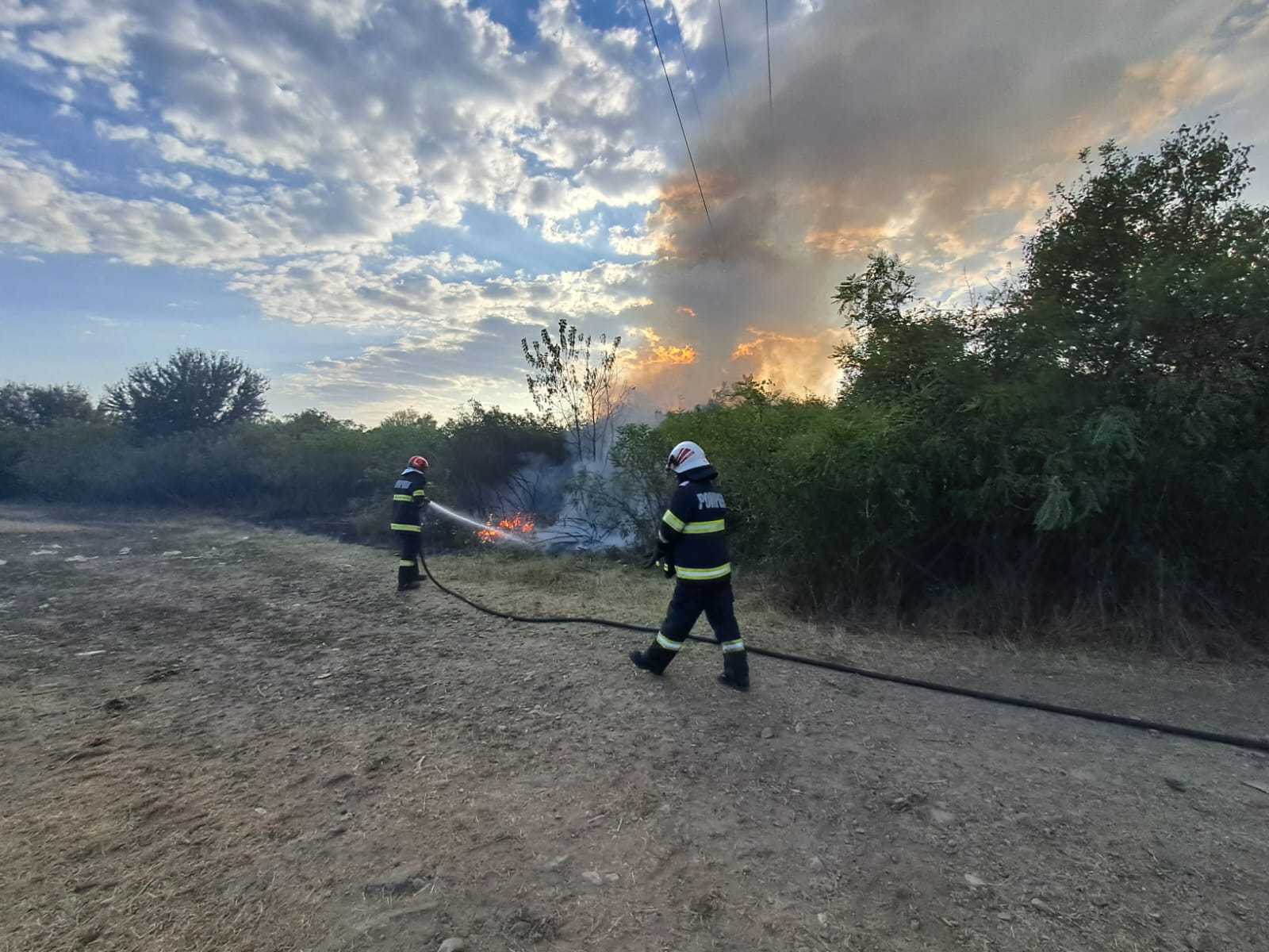 FOTO | Multiple incendii de vegetație în județul Arad