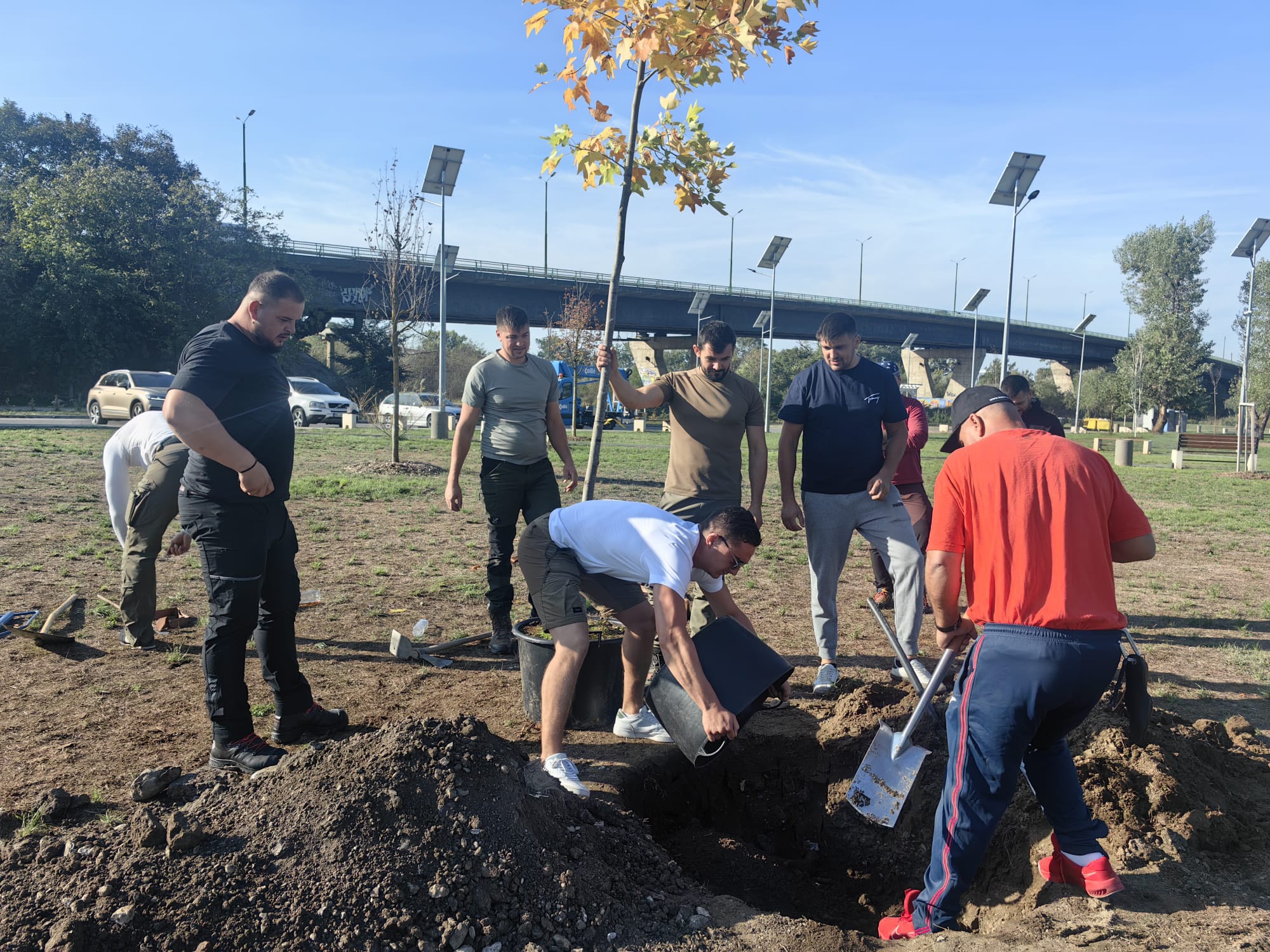 FOTO | Primul curs pentru arboriști, organizat la Arad