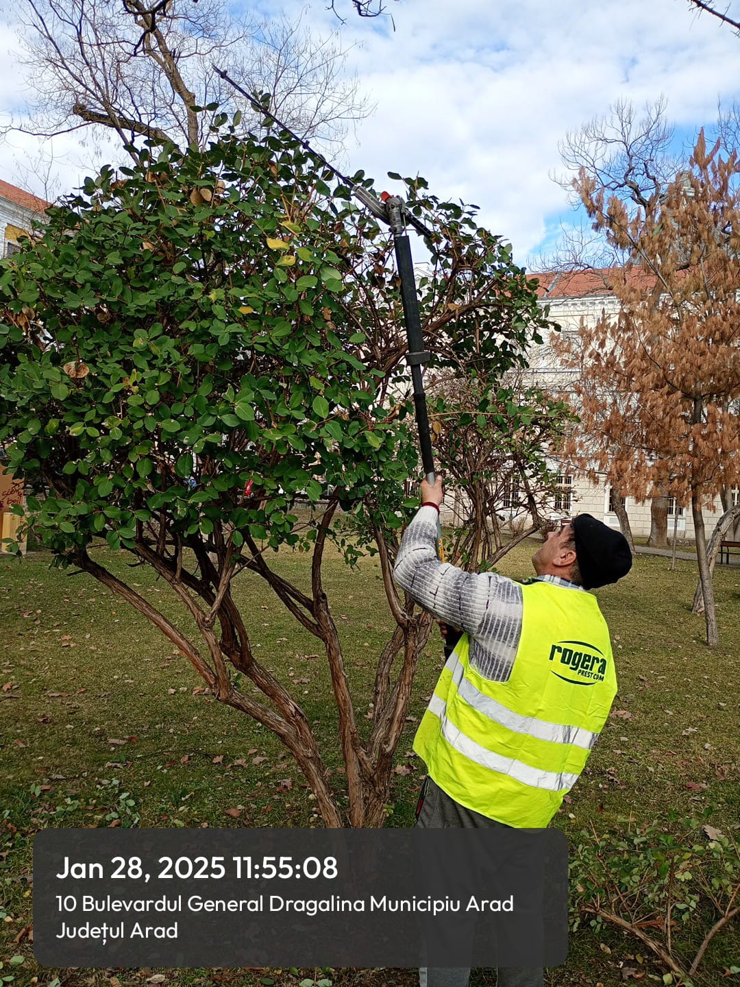 FOTO | Lucrări pentru „armonie verde” în parcurile de pe malul Mureșului